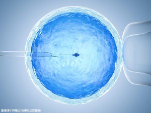 试管借卵代怀机构